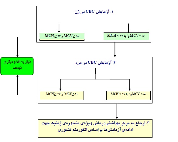 پیشگیری بتا تالاسمی ماژور الگوریتم 3